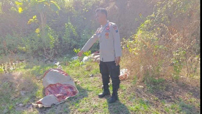 Warga Tuban Digegerkan Penemuan Potongan Tubuh Sapi di Bekas Tambang Batu
