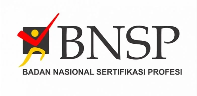 Seleksi Anggota BNSP 2023-2028, Keterlibatan Publik dan Ketua IMO