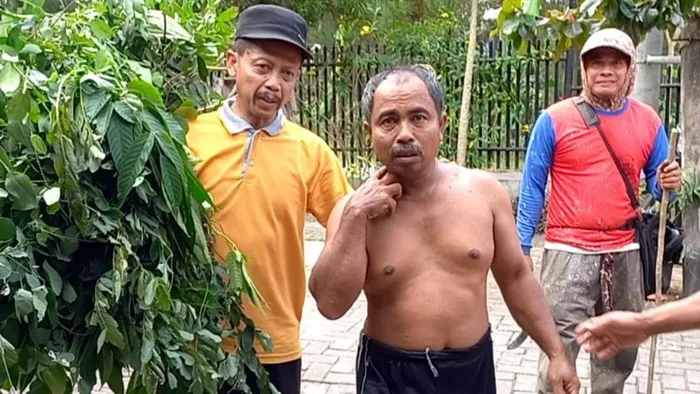 Kisah Mistis Warga Trenggalek Hilang di Hutan, Ditemukan dalam Kondisi Linglung