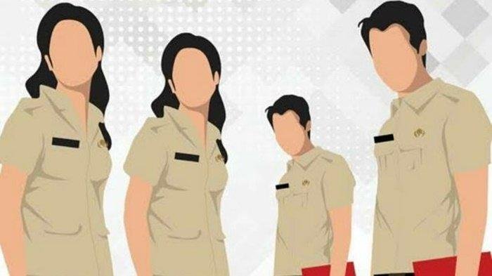 Pendaftaran CPNS 2023 Akan Dibuka 17 September, Berikut 17 Jurusan Prioritas dan Jadwal Seleksinya