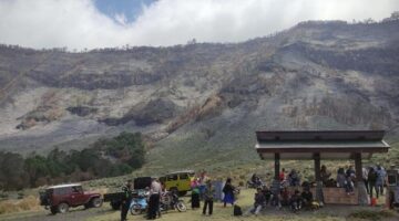 Menteri LHK  Ungkap Luas Lahan Terbakar di Bromo Mencapai 989 Hektare