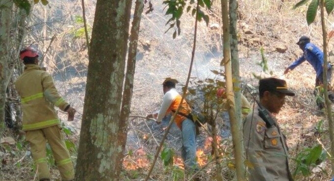 Hutan Bukit Tunggangan Trenggalek Terbakar, 3 Hektare Diterjang Api