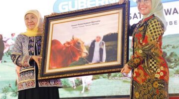 Khofifah Yakin Jatim Mampu Antarkan Indonesia Ciptakan Swasembada Daging