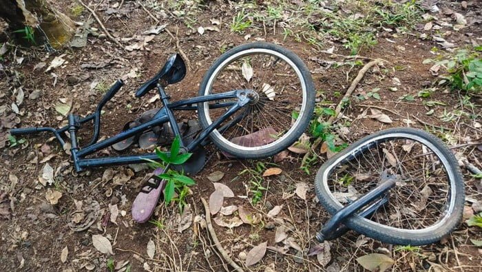 Bocah 12 Tahun Tewas Tabrak Pohon Saat Naik Sepeda