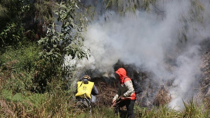 Bromo Terbakar Saat Ritual Yadnya Kasada, Ini Kronologinya