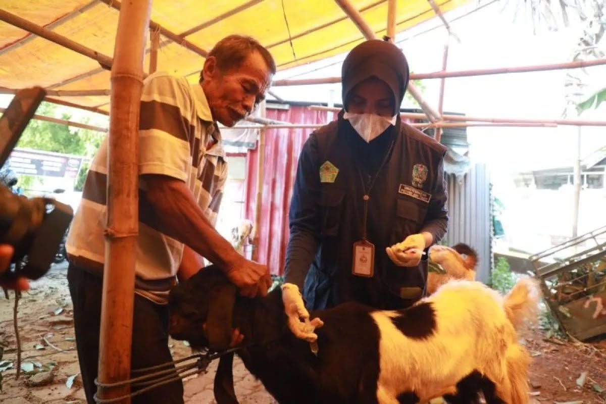Petugas Pastikan Hewan Kurban di Madiun Aman dari Penyakit