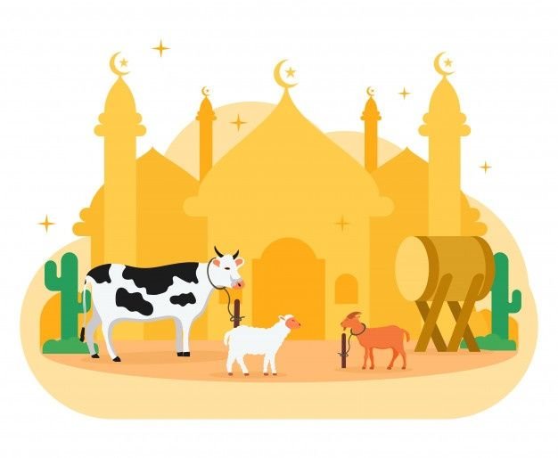 10 Kesalahan Umum Saat Berkurban dan Cara Menghindarinya