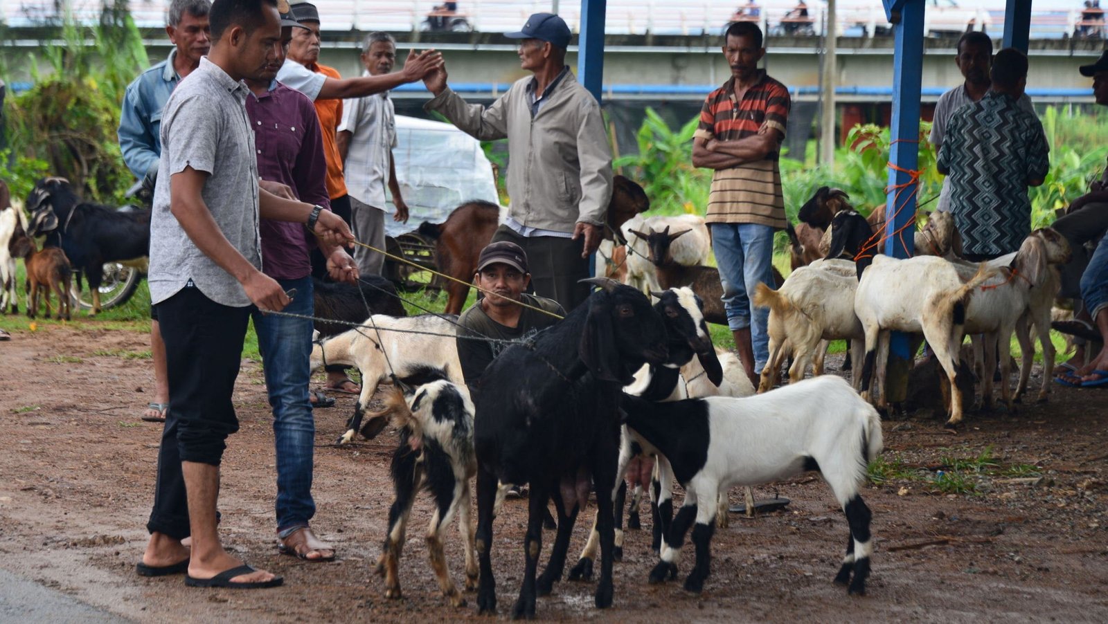 Kurban dan Zakat: Apa Perbedaannya?