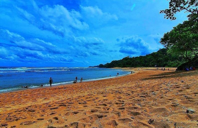 Pantai Ngliyep: Tempat Terbaik untuk Melepas Penat