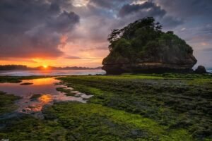 Pantai Parang Dowo