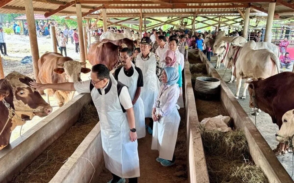 Pemprov Jatim Pastikan Hewan Kurban Sehat dan Melimpah Jelang Idul Adha