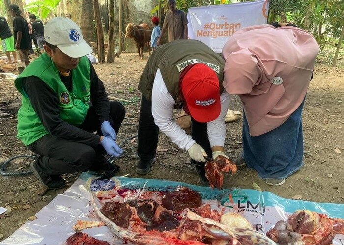Ratusan Hewan Kurban di Blitar Terjangkit Cacing Hati