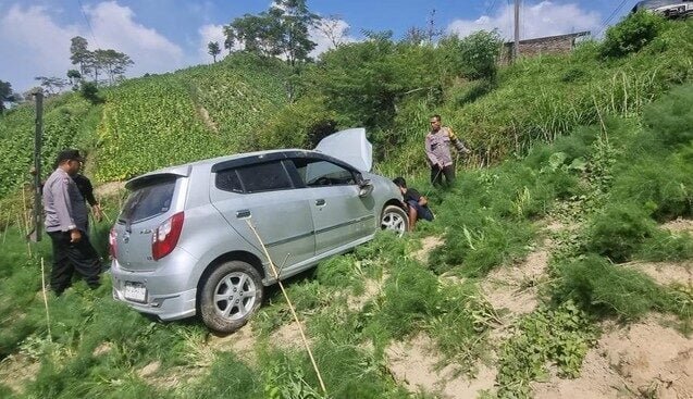 Mobil Ayla di Boyolali Nyungsep ke Ladang Warga, 4 Orang Selamat!