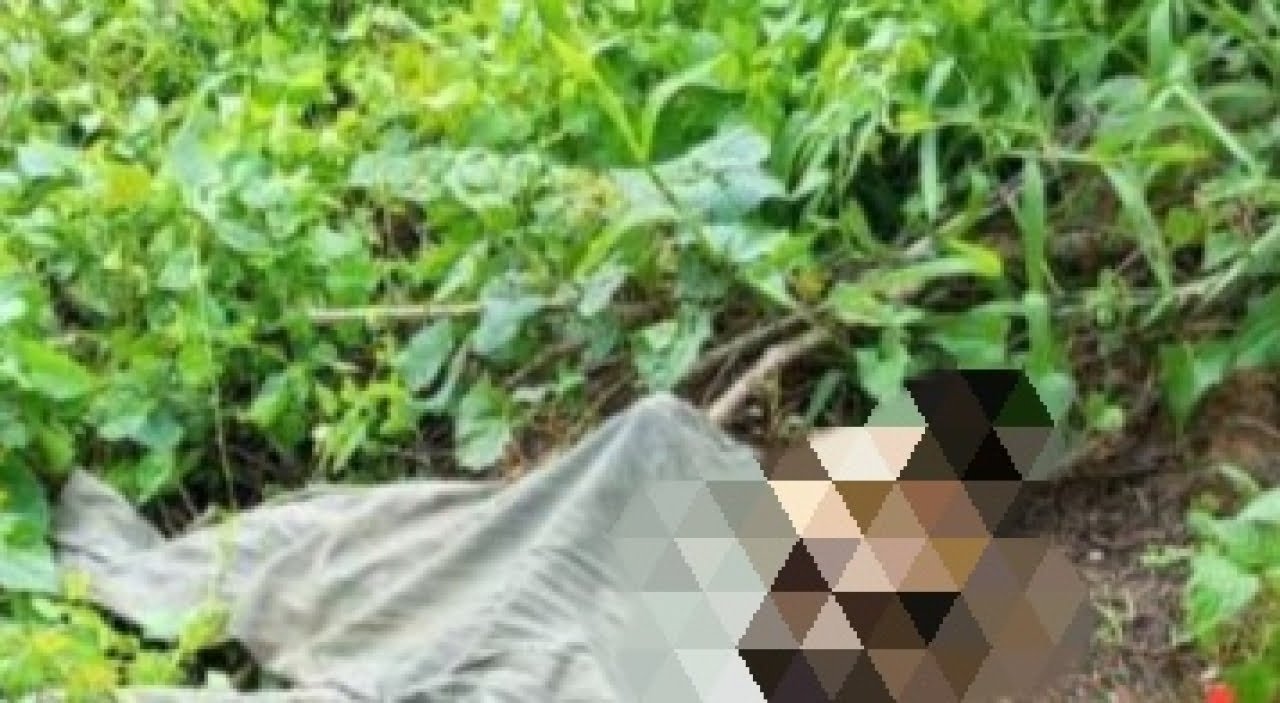 Penemuan Tengkorak di Hulu Sungai Selatan Bikin Heboh