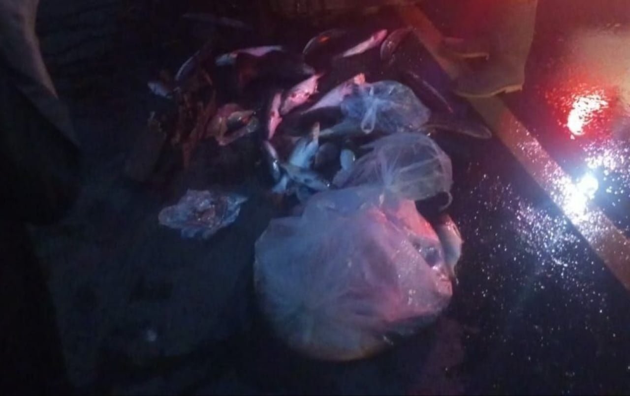 Tragis! Pengendara Motor di Amuntai Tewas Tabrak Truk