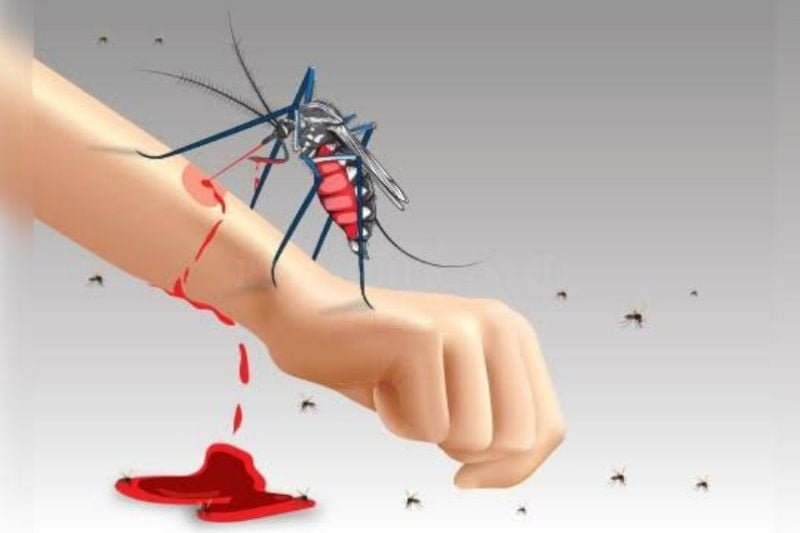 Geger! Kasus DBD di Tulungagung Sebabkan 13 Nyawa Melayang
