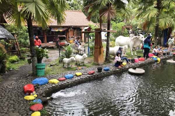 Yuk, Eksplor Kampung Flory Jogja! Tempat Hits Buat Healing!