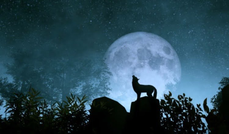 Jangan Keluar Rumah di Malam 1 Suro! Mitos atau Fakta?