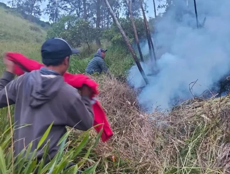 Kabakaran Bukit Kedaluh Gunung Bromo?! Ini Faktanya!