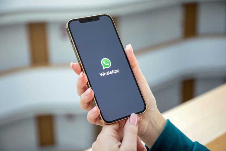 Apakah VC di WA Aman? Ini Fakta yang Lo Harus Tahu!