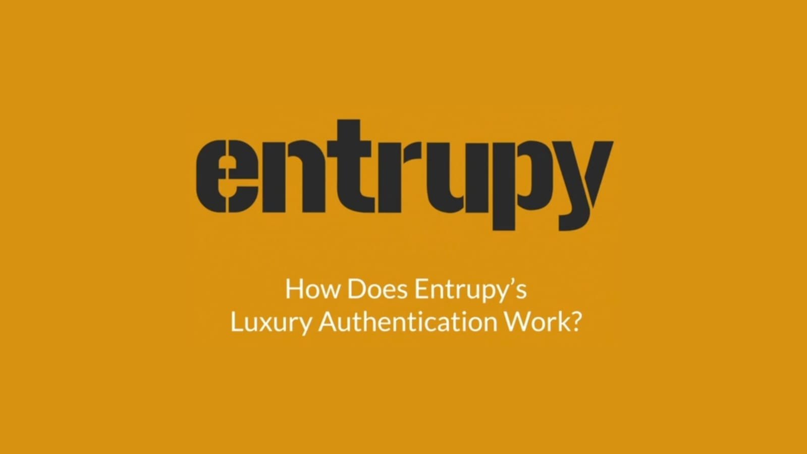 Ini Dia, Entrupy! Aplikasi Cek No Seri Tas untuk Semua Tas Branded!