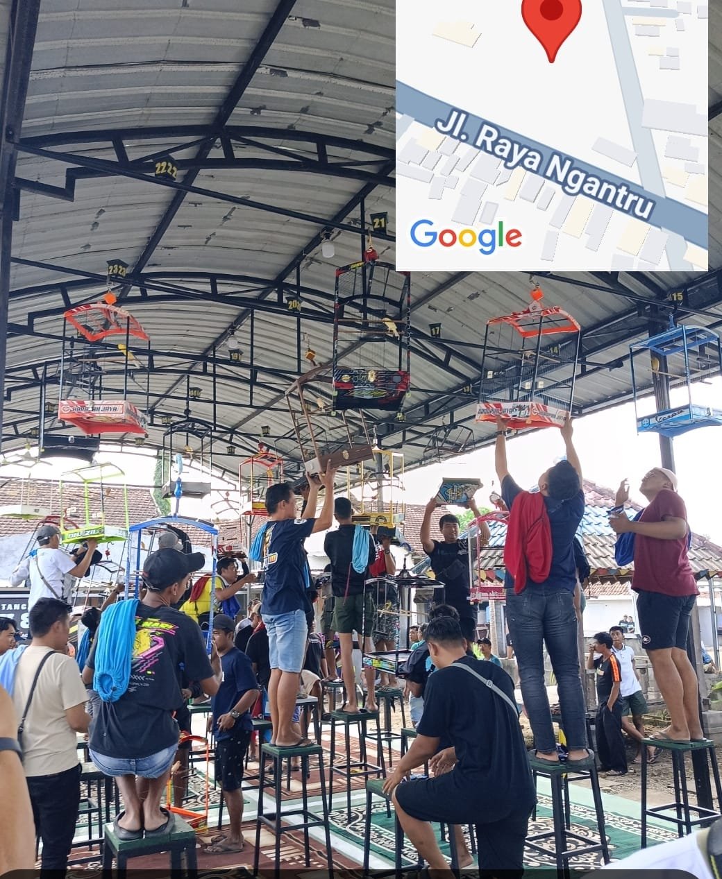 Bupati Tulungagung Dukung Ngrowo Actual #2, Festival Burung Nasional Angkat Nama Daerah